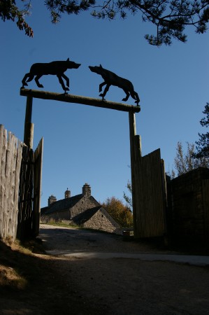Loups du Gevaudan